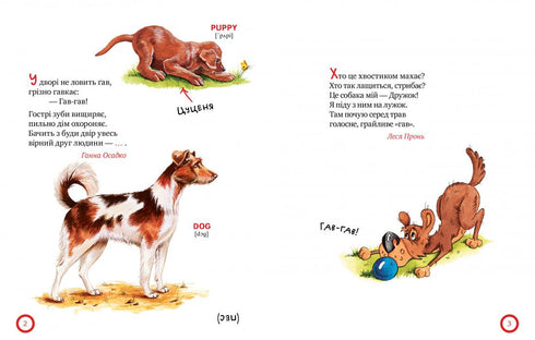 Про хвостатих і крилатих