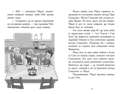 Skattjägare. Hemligt rum. Bok 2