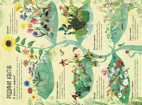 The Big Book of Flowers (print run ended)